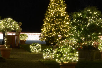 luci-per-albero-di-natale_sfondo