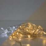 Catena LED Bicolor Flashing 5m 60LED Cavo Trasparente - 24V