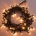 Catena con 200 LED Bianco Caldo Fisso Cavo Verde 20 metri
