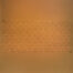 56336 rete traditional (2)