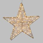Stella 3D Copper