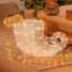 LT75481-1